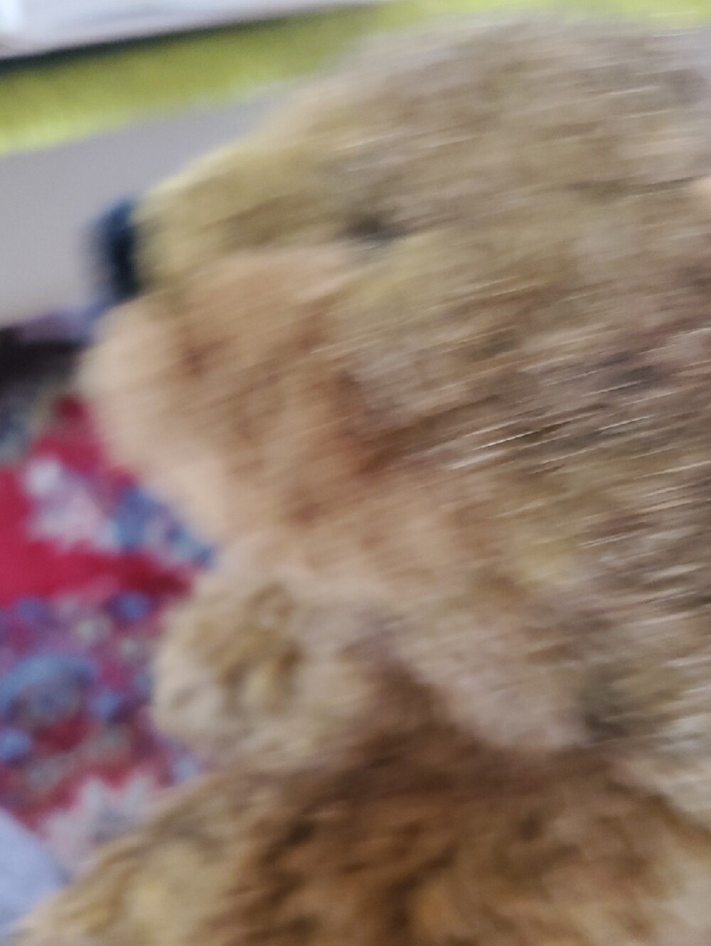German Vintage Plush Beaver Hand Puppet - Brown - Picture 3 of 8